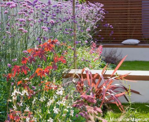 Créer un massif fleuri toute l'année. Suivez nos idées en tant que paysagiste