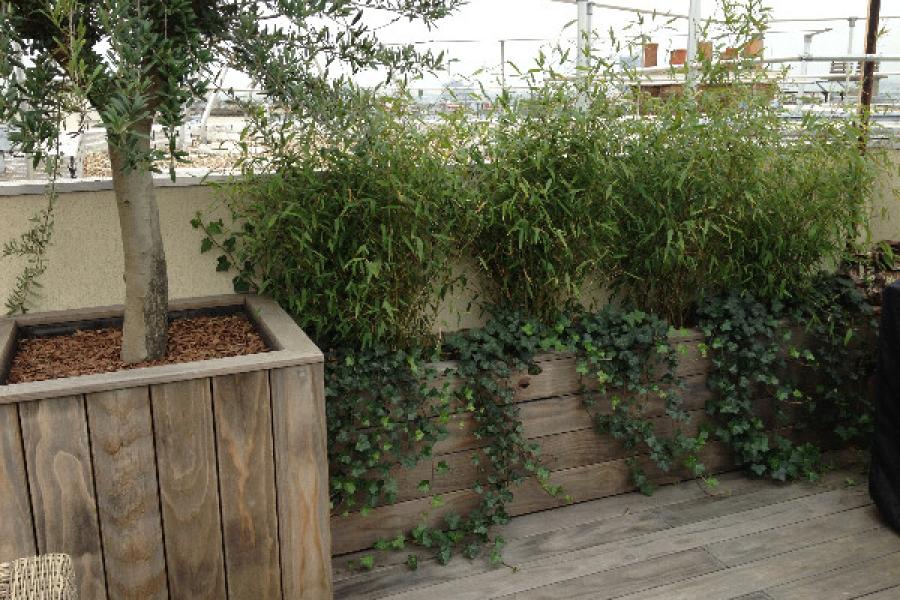 Aménager un toit-terrasse avec une terrasse bois. Paris 75016